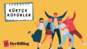 Kürtçe Küfürler ve anlamları