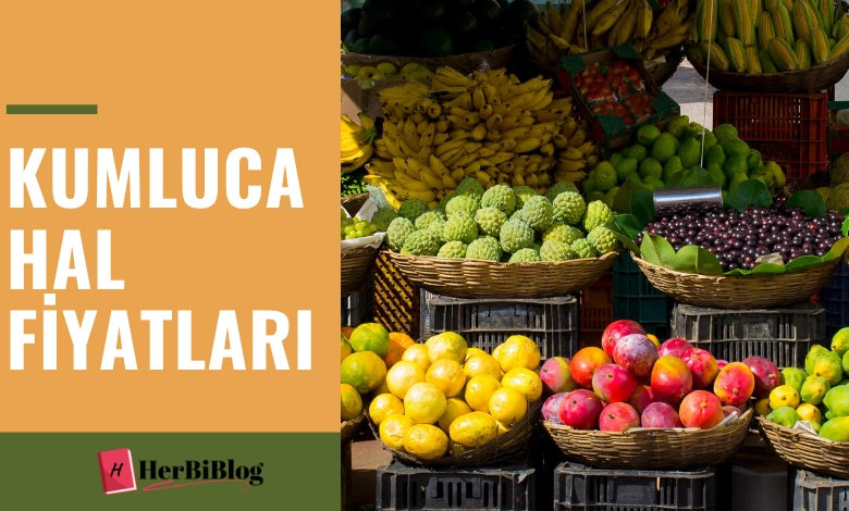 kumluca hal fiyatları